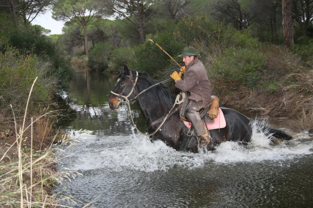 Country Resort Le Due Ruote Alberese Bagian luar foto